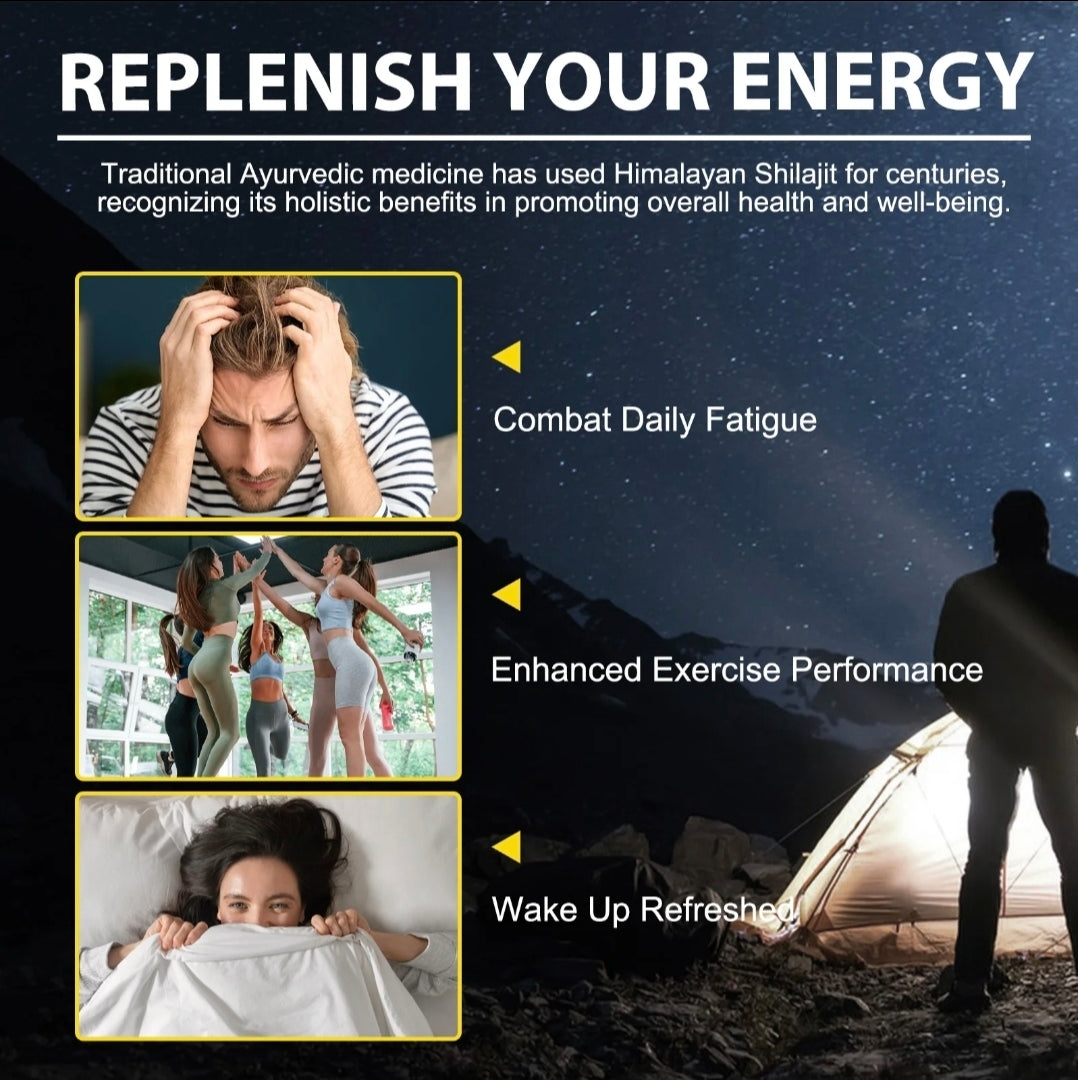 Himalyan Shilajit 60 g